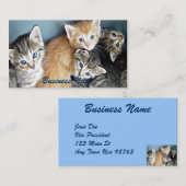 4 Visitekaartje met blauwe ogen Kittens (Voorkant / Achterkant)