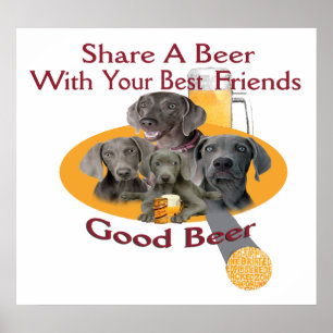4 Weimaraners delen een Poster voor bier