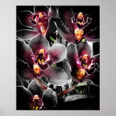4 x5 Ratio zwart orchidee print img5459 (Voorkant)