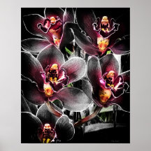 4 x5 Ratio zwart orchidee print img5459