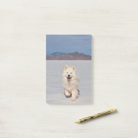 4"x6" Post-it Notities - Zoutvlakten Post-it® Notes (Op bureau)