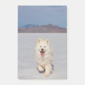 4"x6" Post-it Notities - Zoutvlakten Post-it® Notes (Voorkant)