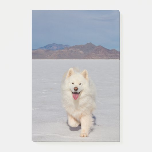 4"x6" Post-it Notities - Zoutvlakten Post-it® Notes (Voorkant)