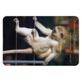4 x 6 Fridge Magnet met aap en slogan Magneet (Horizontaal)