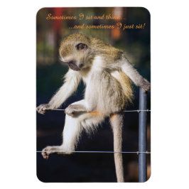 4 x 6 Fridge Magnet met aap en slogan Magneet