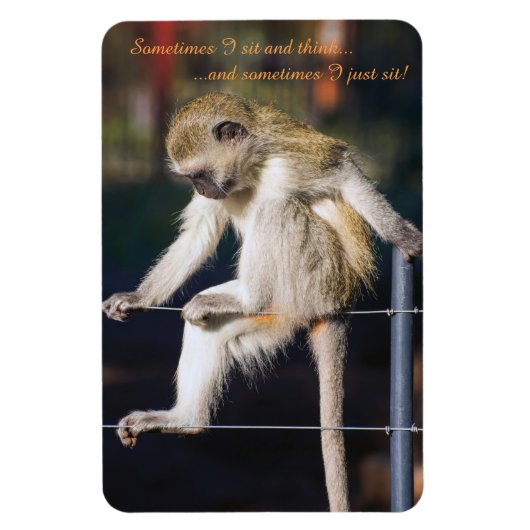 4 x 6 Fridge Magnet met aap en slogan Magneet (Verticaal)