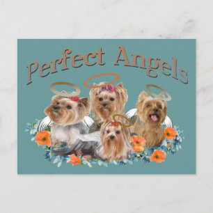 4 Yorkie Perfect Angels giften Briefkaart