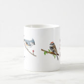 4 Zongvogels Mok (Center)