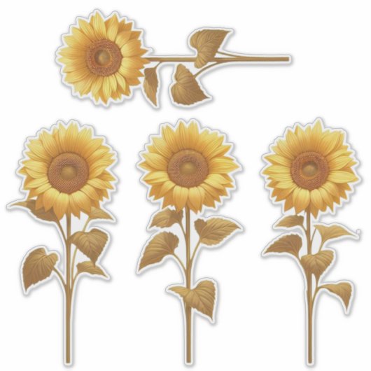 4 Zonnebloem Stickers (Voorkant)