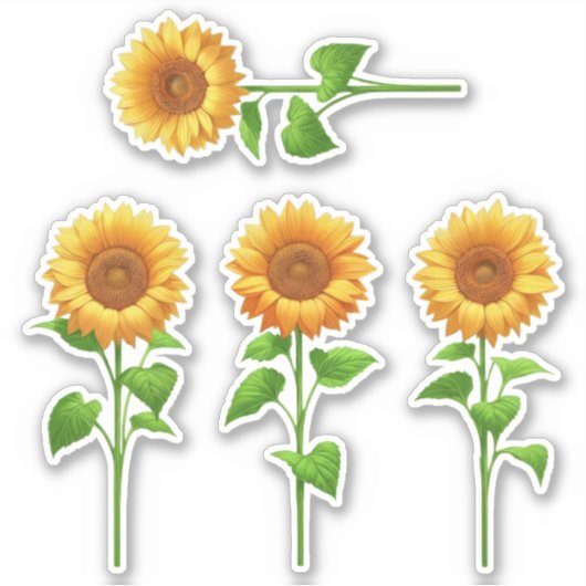 4 Zonnebloemstickers (helder) Sticker (Voorkant)