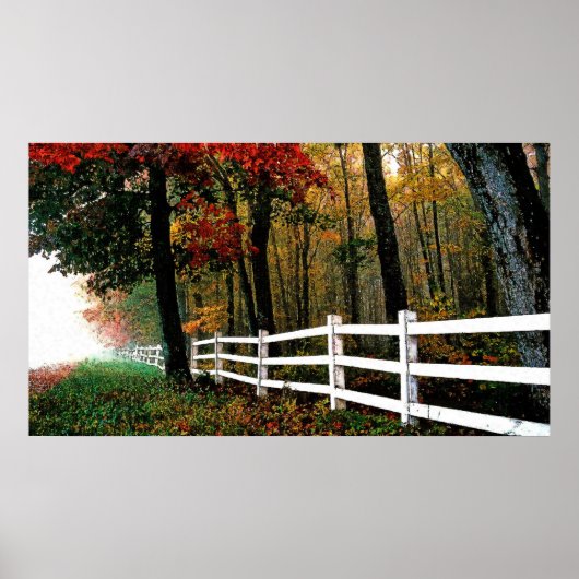 4b olie gedetailleerd poster (Voorkant)