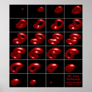 4d torus fly-through doorsnede poster