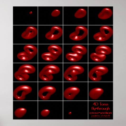 4d torus fly-through doorsnede poster (Voorkant)