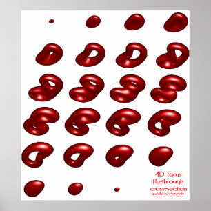 4d torus fly-through doorsnede poster