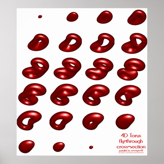 4d torus fly-through doorsnede poster (Voorkant)