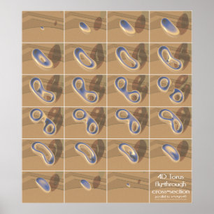 4D-torusvliegende doorsnede Poster
