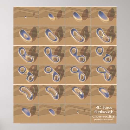 4D-torusvliegende doorsnede Poster (Voorkant)