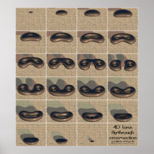 4D-torusvliegende doorsnede Poster