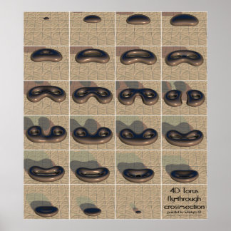 4D-torusvliegende doorsnede Poster