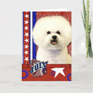 4de juli Firecracker - Bichon Frise Kaart