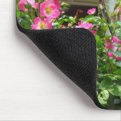 4de juli - Martha's wijngaard Muismat (Hoek)