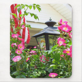 4de juli - Martha's wijngaard Muismat