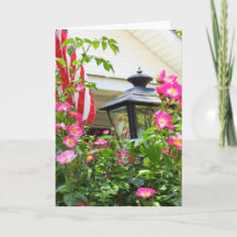 4de juli - Martha's wijnstokkaart