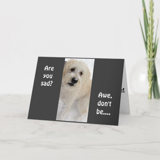 "4e" BIRTHDAY JE KUNT NOG STEEDS BALL SPELEN Kaart (Voorkant)