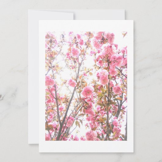 4e verjaardag roze kersen bloemig vierde aangepast kaart (Achterkant)