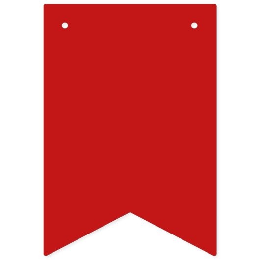 4th juli Bunting Vlaggen Sterren en Strepen Vlaggetjes (Eerste vlag)