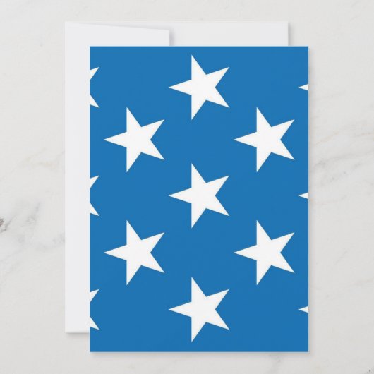 4th of July Independence Day BBQ Fireworks Kaart (Achterkant)