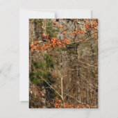 4x5 PLATTE "Dank U" kaart Herten paar hinde bok ca (Achterkant)