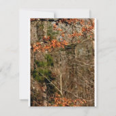 4x5-richtingenkaart Deer Couple Doe Buck Camo Kaart (Achterkant)