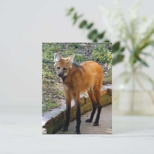 4x6 Briefkaart Sjabloon (Staand voorkant)