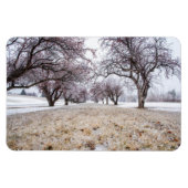 4x6 flat Magnet Magneet (Horizontaal)