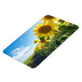 4x6 flat Magnet Magneet (Linkerzijde)