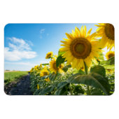 4x6 flat Magnet Magneet (Horizontaal)