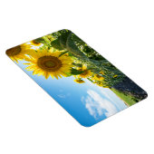 4x6 flat Magnet Magneet (Rechterzijde)