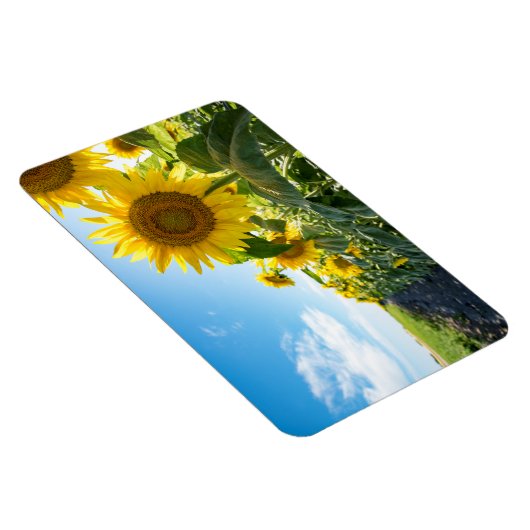 4x6 flat Magnet Magneet (Rechterzijde)