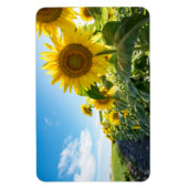 4x6 flat Magnet Magneet (Verticaal)