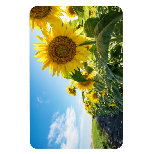 4x6 flat Magnet Magneet (Verticaal)