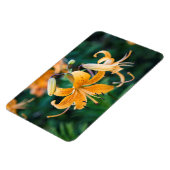 4x6 flat Magnet Magneet (Linkerzijde)