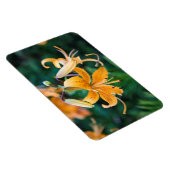 4x6 flat Magnet Magneet (Rechterzijde)