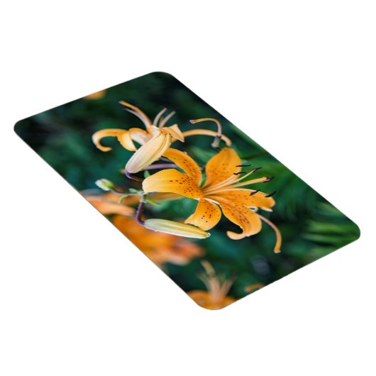 4x6 flat Magnet Magneet (Rechterzijde)