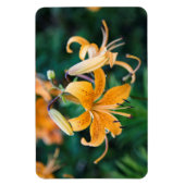 4x6 flat Magnet Magneet (Verticaal)