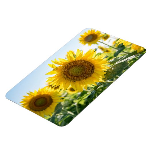 4x6 flat Magnet Magneet (Linkerzijde)