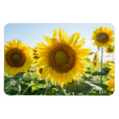 4x6 flat Magnet Magneet (Horizontaal)