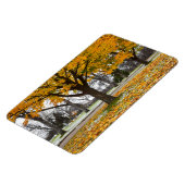 4x6 flat Magnet Magneet (Linkerzijde)