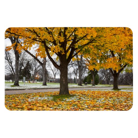 4x6 flat Magnet Magneet (Horizontaal)