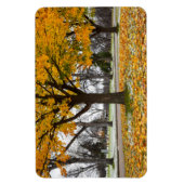 4x6 flat Magnet Magneet (Verticaal)